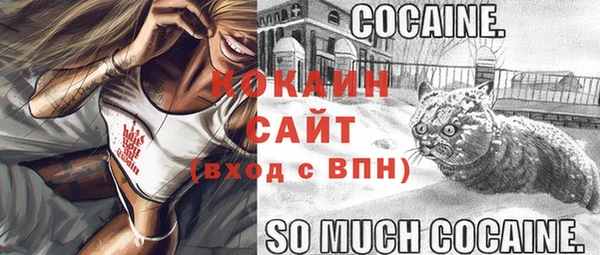mdpv Киреевск