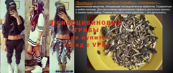 apvp Кинешма